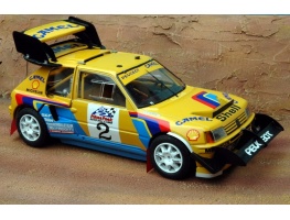 tk24-206 peugeot 250t16 pikes peak-5