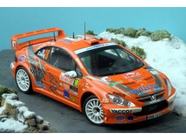 tk24-269 peugeot 307 wrc cuoq 7e monte-carlo 2008-1
