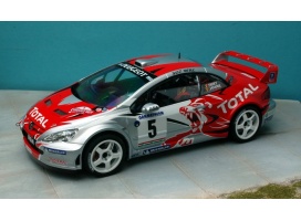 tk24-250 peugeot 307wrc thiry condroz 2006-3