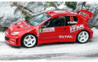 tk24-179 peugeot 206 wrc vouilloz monte carlo 2004 -2