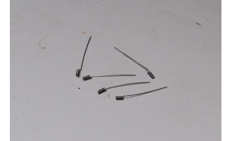 43ant