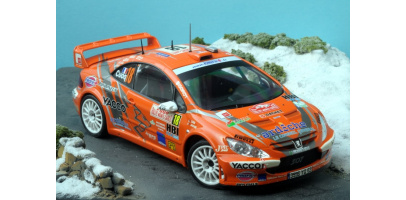 tk24-269 peugeot 307 wrc cuoq 7e monte-carlo 2008-1