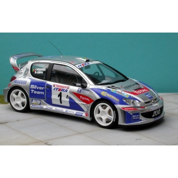tk24-165_peugeot_206_wrc_campos_3rd_ypres_2003-2