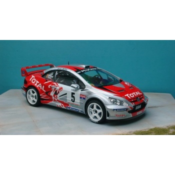 tk24-250 peugeot 307wrc thiry condroz 2006-1