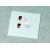 tk24-312 ford gt40 mkii additif decals